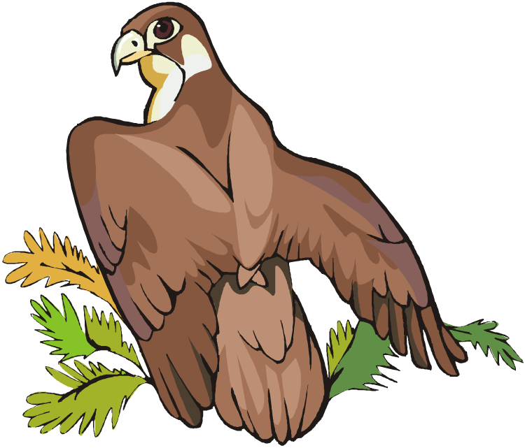 Free Eagle Clipart - Golden Eagle - Png Download (750x641), Png Download