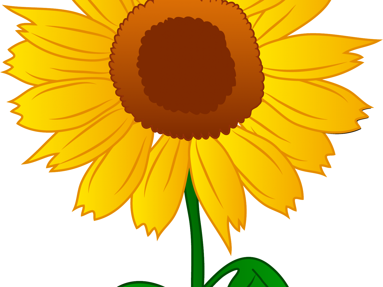 Sunflower On Clip Art - Png Download (1600x1200), Png Download