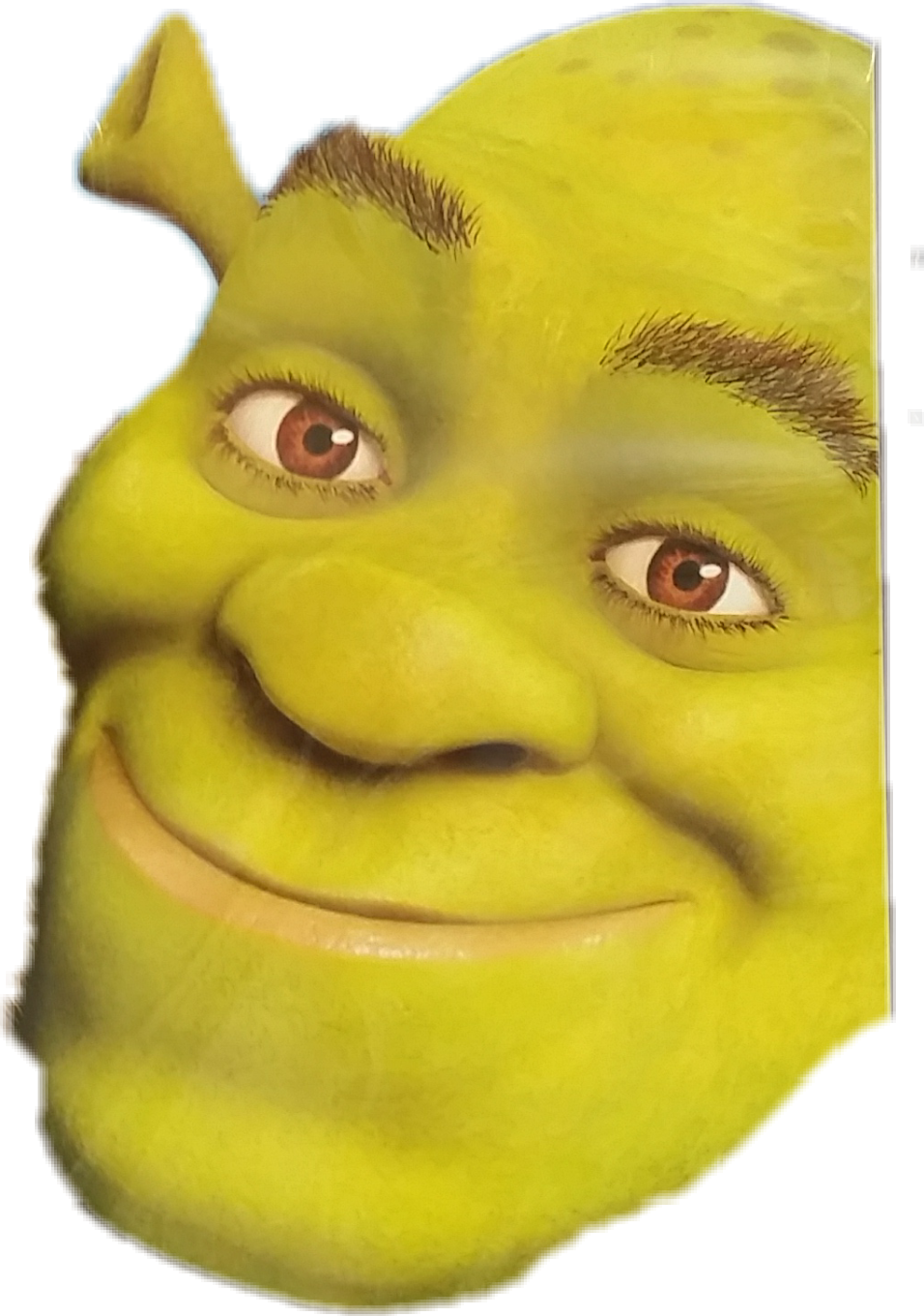 Shrek Sticker - Close-up Clipart (956x1361), Png Download