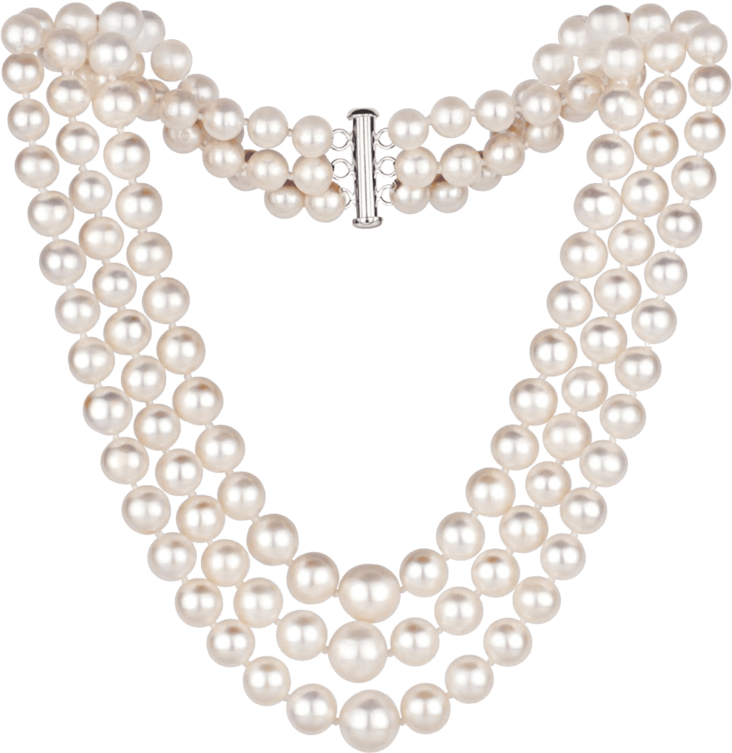 Jewellers Bhopal Clipart (1104x1104), Png Download