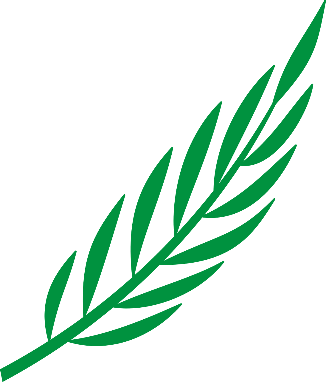 Branch Laurel Leaf Leafy Leaves Png Image - Laurel Leaves Png Vector Clipart (1094x1280), Png Download