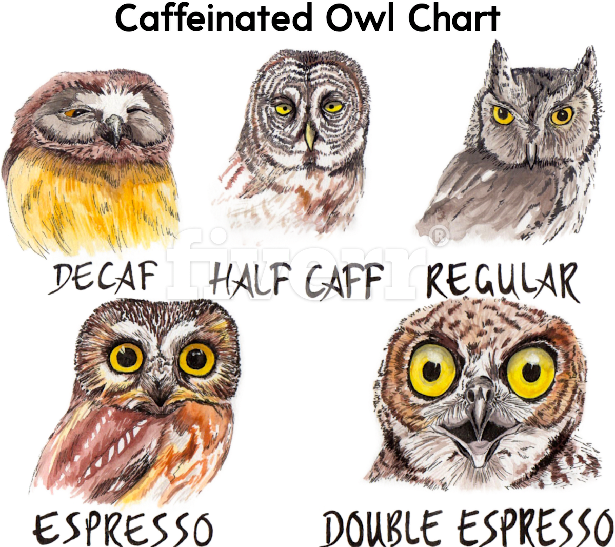 Big Worksample Image - Caffeine Owl Clipart (1200x1091), Png Download