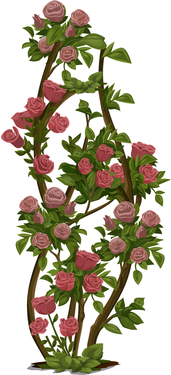 Roses Tree Bush Flowers Nature Png Image - Rose Flower Tree Png Clipart (640x1280), Png Download