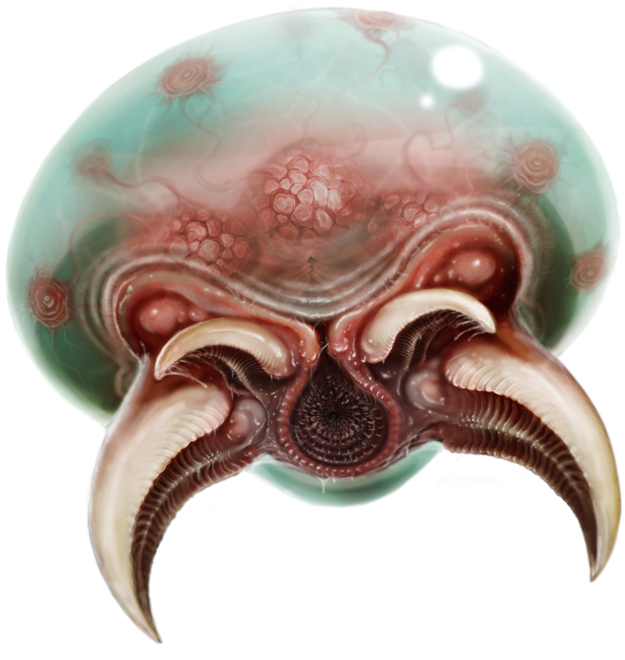 Metroid , Png Download - Octopus Clipart (877x926), Png Download