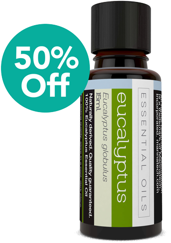 14601-50 - Lime Clipart (600x600), Png Download