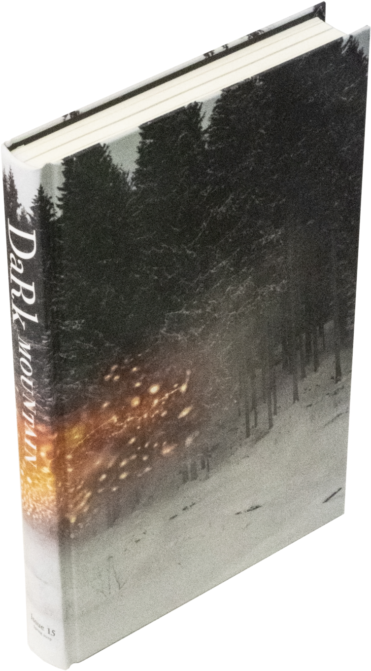 Issue - Book Cover Clipart (1000x1414), Png Download