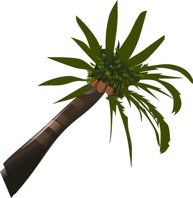 Brown, Green, Food, Palm, Tree, Cartoon, Trees, Plant - Palm Tree Clip Art - Png Download (625x640), Png Download