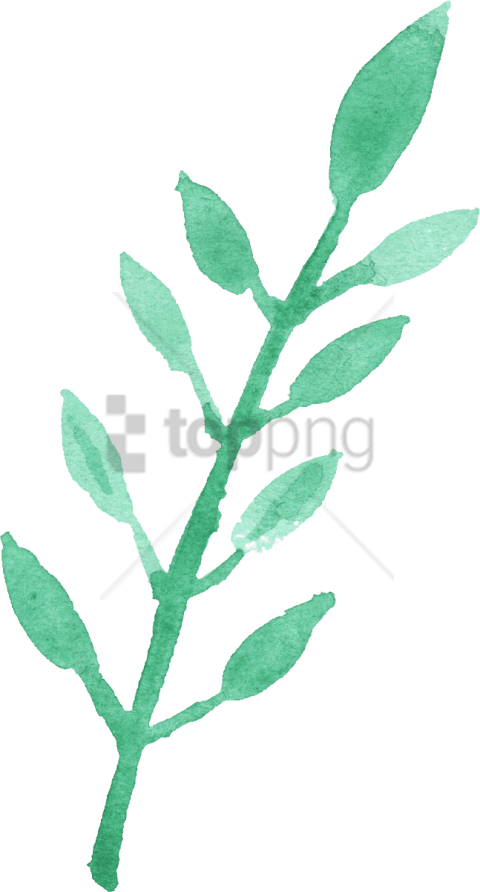 Free Png Watercolour Leaf Png Image With Transparent - Free Png Watercolour Leaf Clipart (480x892), Png Download