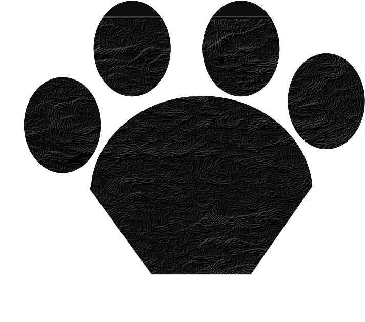 Black Cat Paw Png - Png De Gatos Negro Clipart (900x637), Png Download