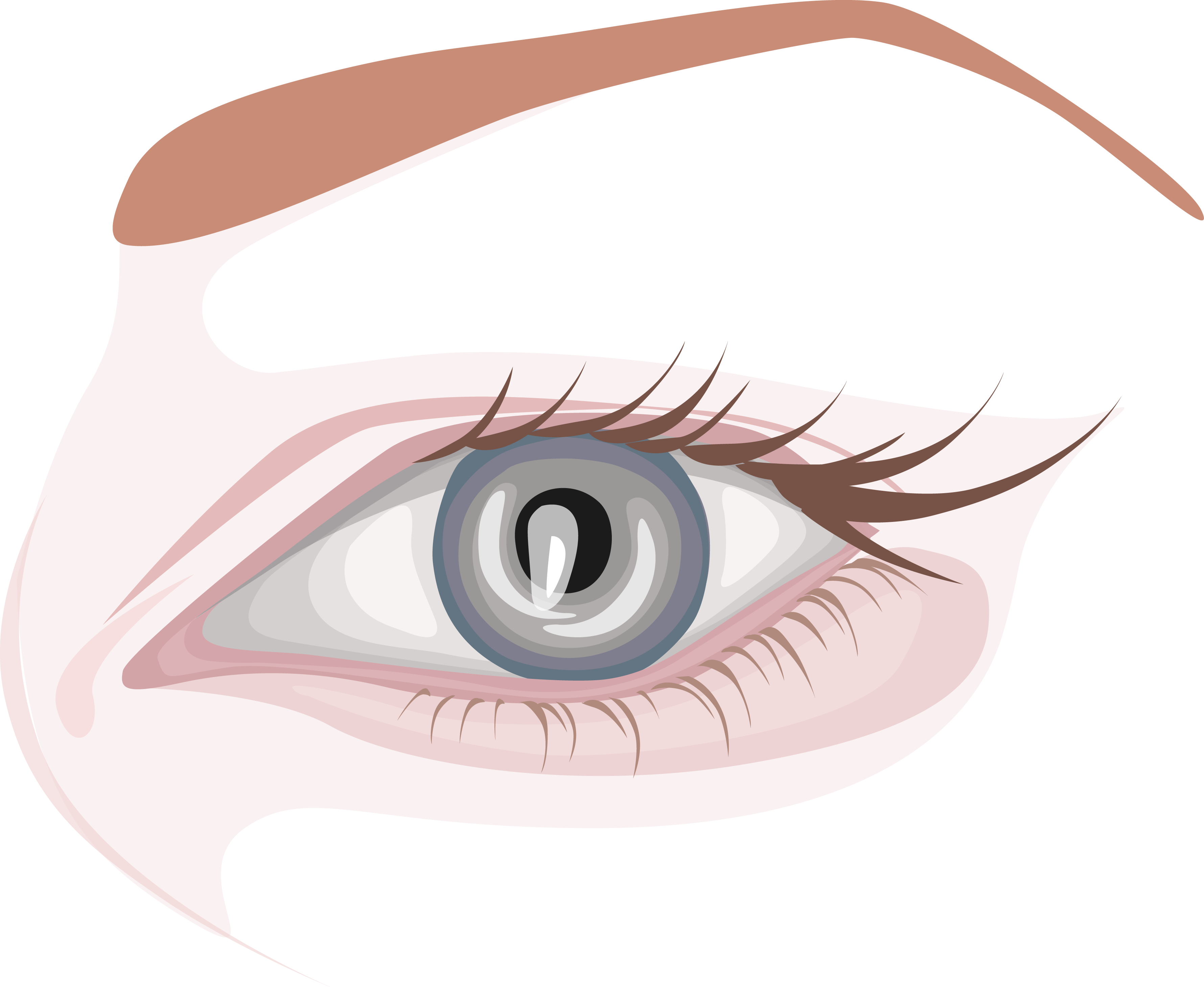 Eyebrow Vector Simple - Close-up Clipart (3560x2918), Png Download