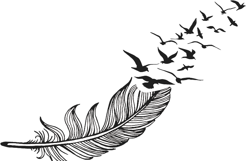 Feather Drawing Png Clipart (873x583), Png Download