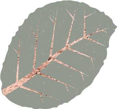 #plant #plants #leaf #leaves #floral #decor #decoration - Circle Clipart (604x640), Png Download