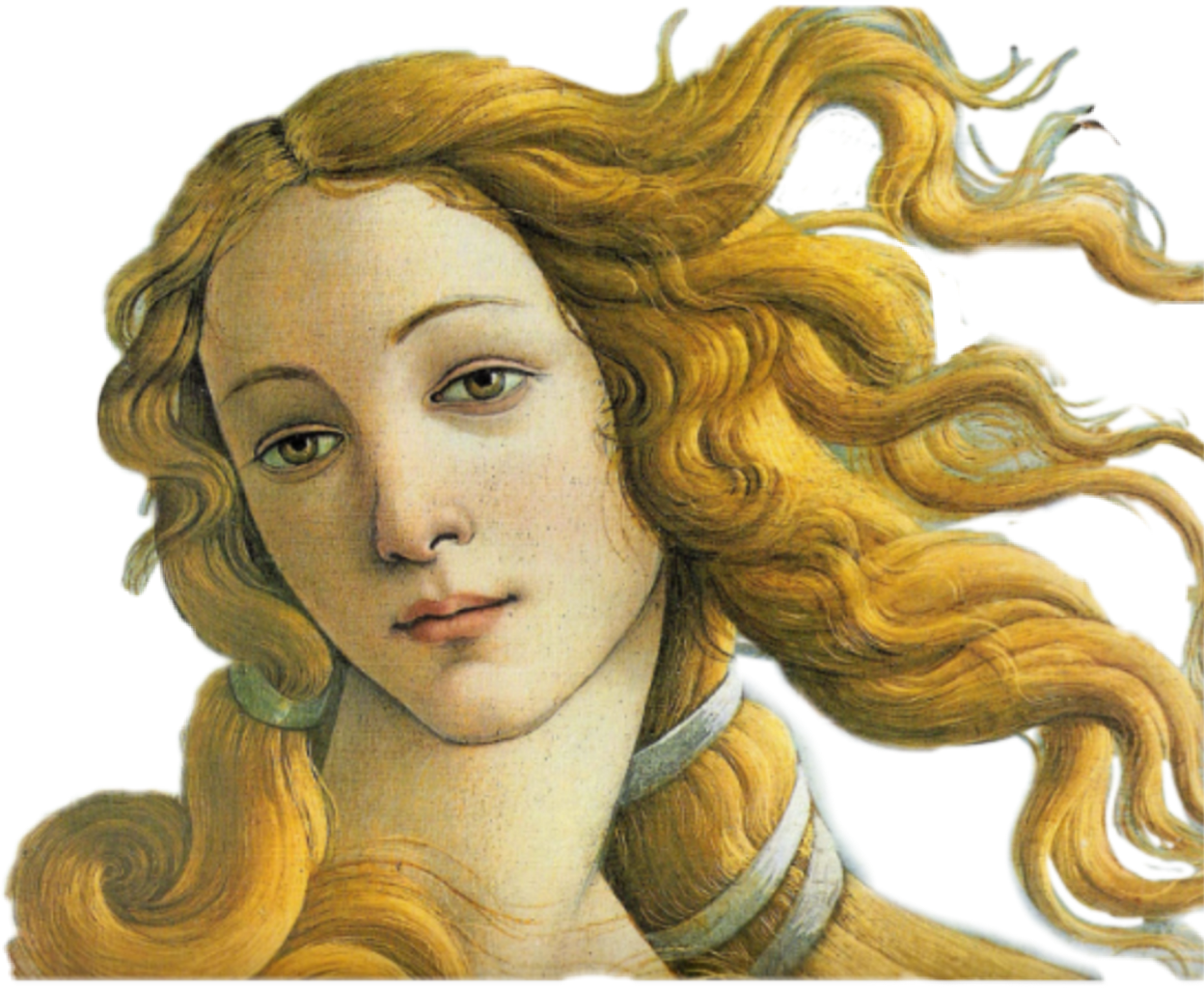 Aphrodite Greek Goddess Fantasy Love Art Myth Mythology - Sandro Botticelli Clipart (1248x1024), Png Download