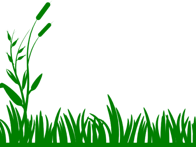 Grass Black And White Clipart - Png Download (640x480), Png Download