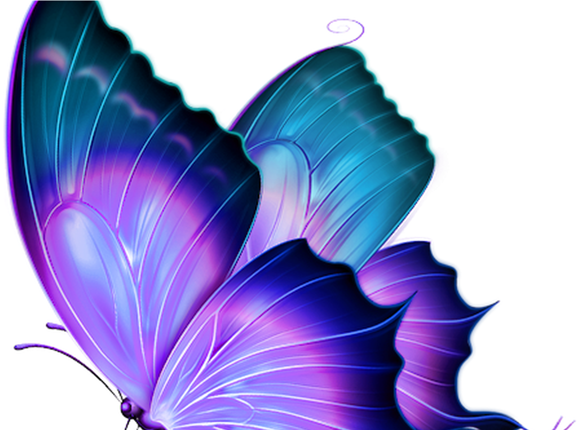 Morning Mist Butterfly Embroidered Quilts And Clip - Beautiful Butterfly Pic Png Transparent Png (1368x855), Png Download