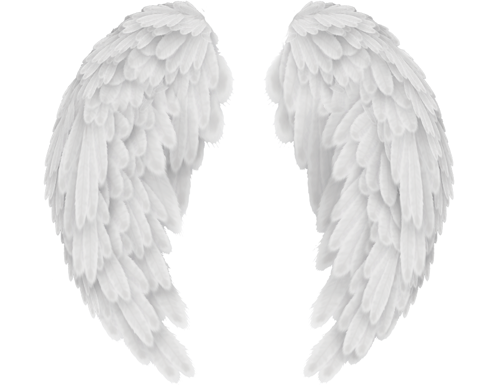 Angels In America Wings - Baby Angel Wings Png Clipart (992x768), Png Download