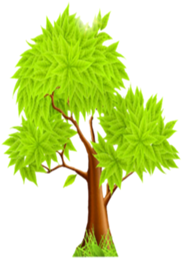 Arbol - Grass Clipart (1024x572), Png Download