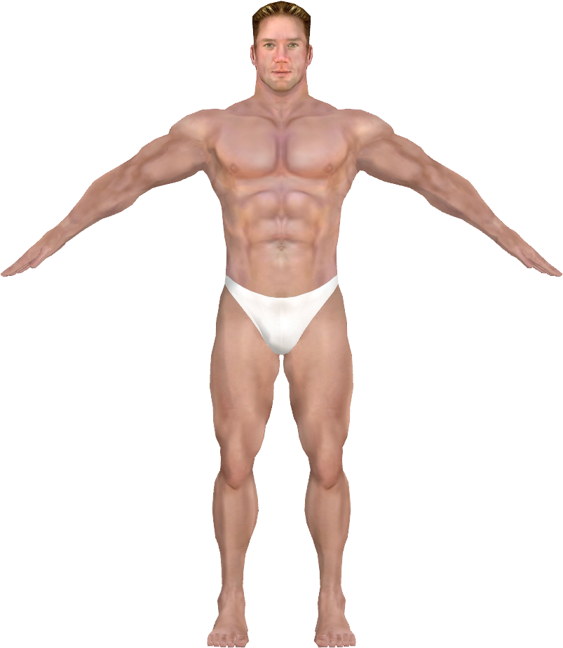 Transparent Human Body Png Clipart (880x1040), Png Download