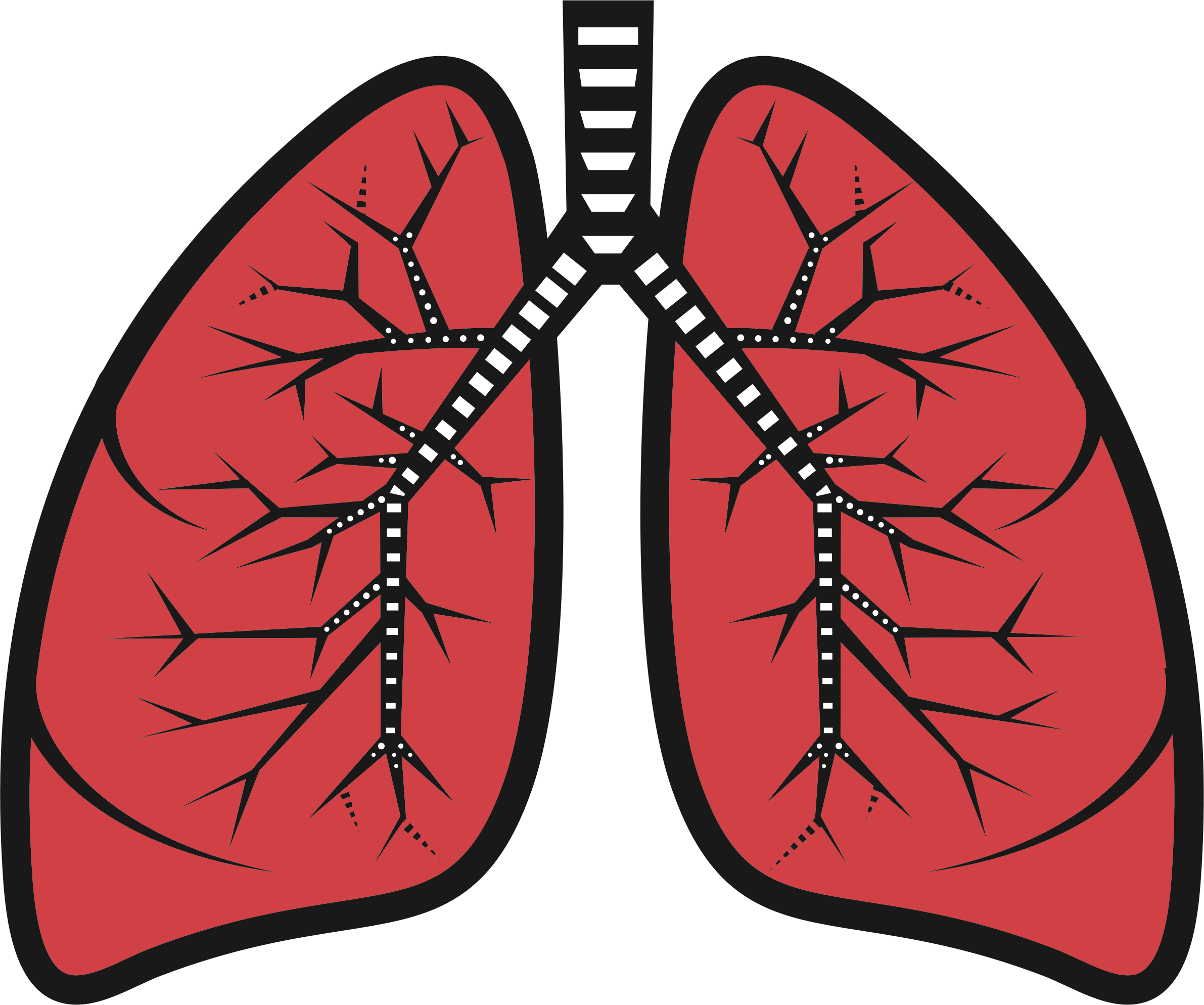 Lungs Clipart - Png Download (2382x1988), Png Download