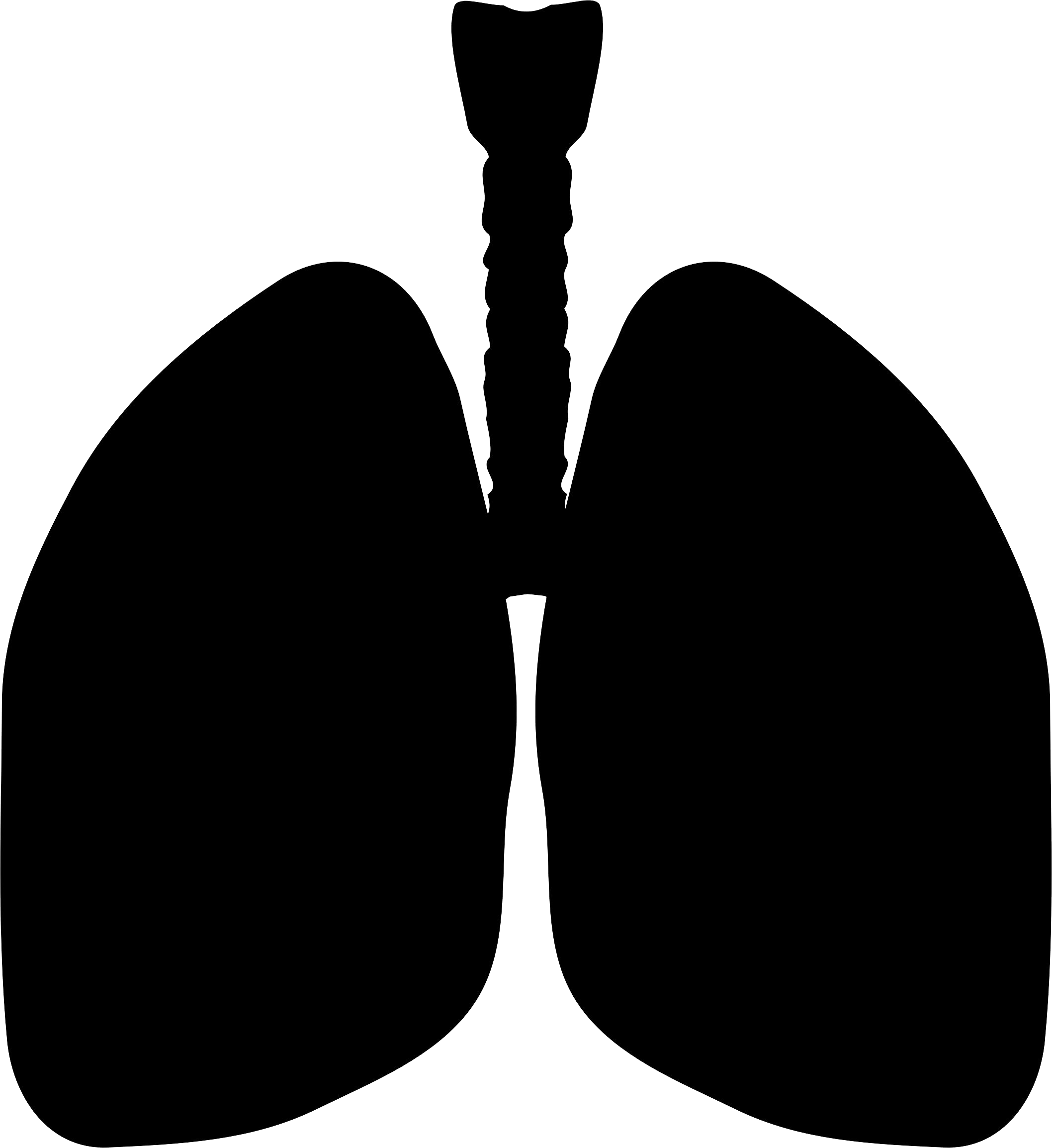 Lung Clipart Black And White - Png Download (2116x2308), Png Download