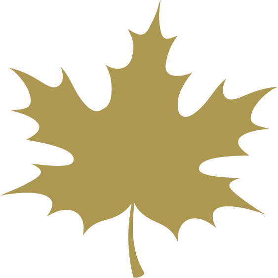 Maple Leaf Icon - Fall Maple Leaf Clipart - Png Download (563x563), Png Download