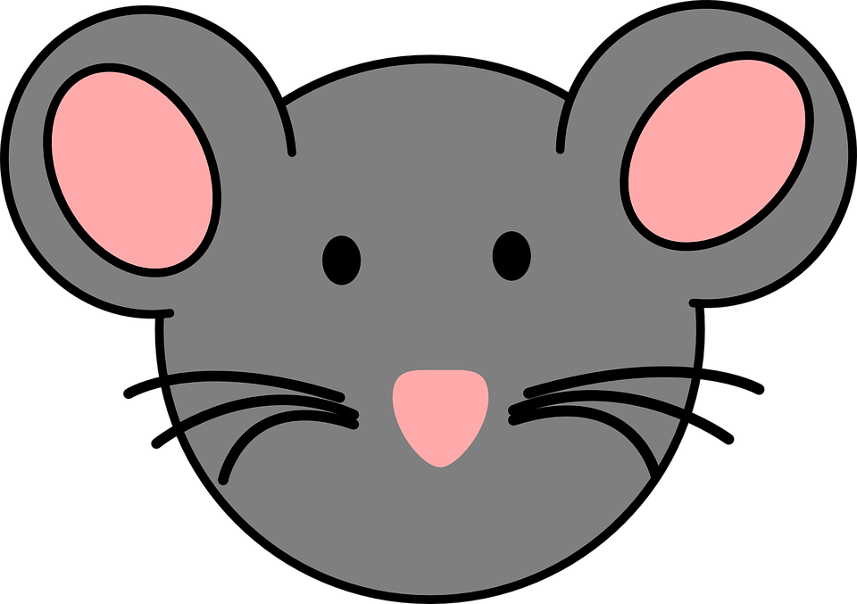 Face Animal Free - Clip Art Mouse Face - Png Download (960x677), Png Download