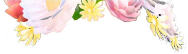 Snapchat Filters Clipart Heart - Flower Crown Snapchat Filter Png Transparent Png (640x480), Png Download