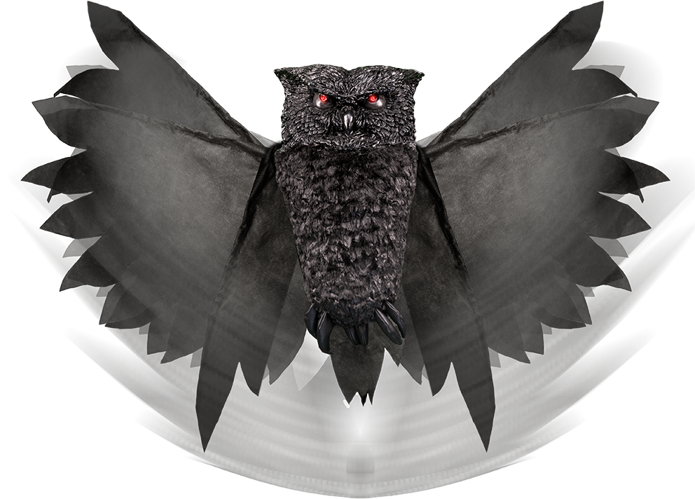 Halloween - Fang Clipart (1000x1000), Png Download