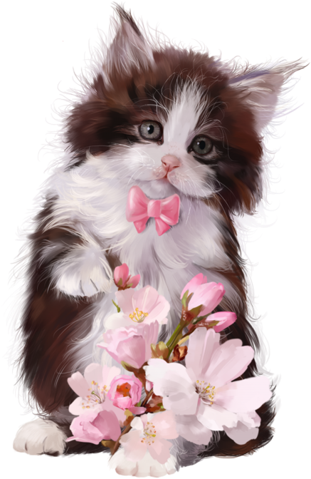 Фото, Автор ✿lili@ ✿ На Яндекс - Cats And Cherry Blossoms Clipart (504x700), Png Download