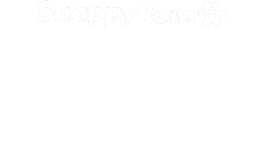 Paper Product , Png Download - Snappy Tom Clipart (879x500), Png Download