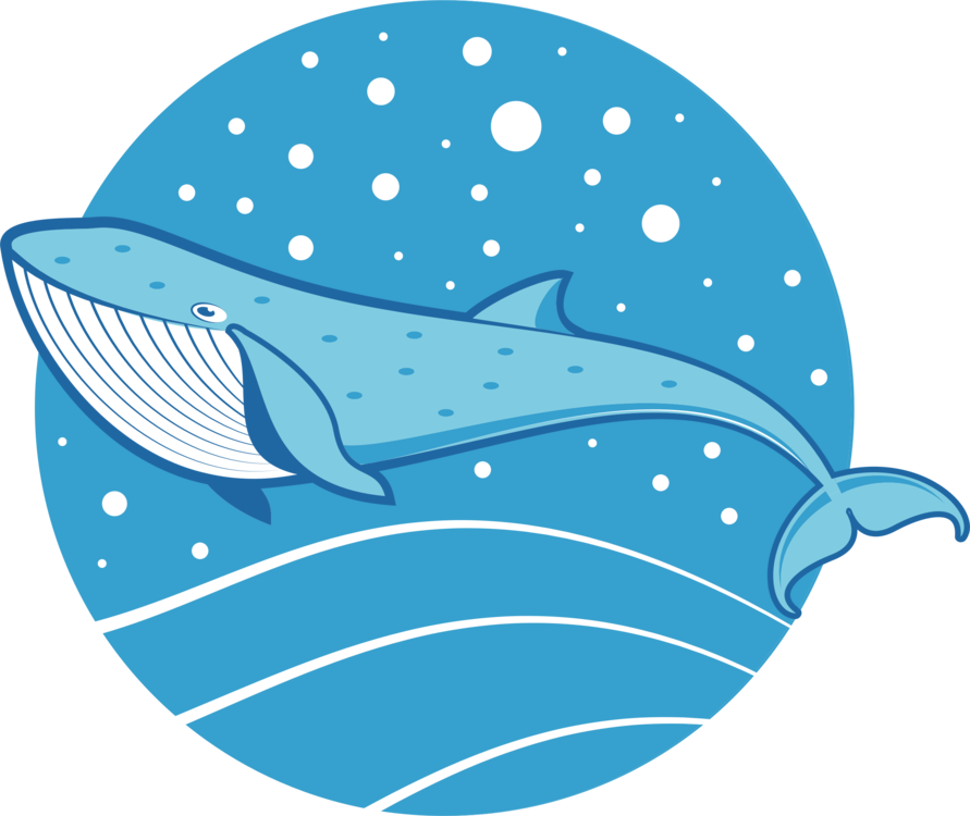 Drawing Cetacea Color Blue Whale Mammal - Blue Whale Shark Drawing Clipart (891x750), Png Download