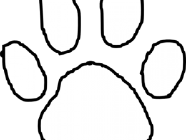 Bear Paw Outline - Silhouette Clipart (640x480), Png Download