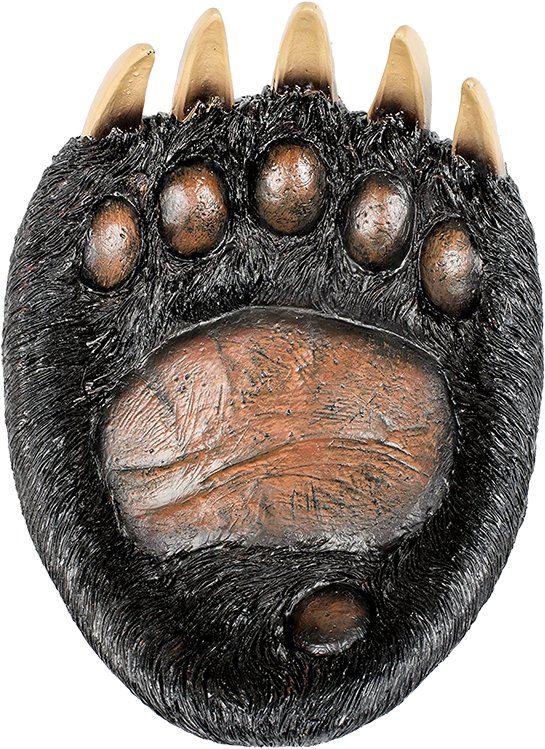 Resin Bear Paw Candy Dish Top View - Wood Clipart (800x800), Png Download