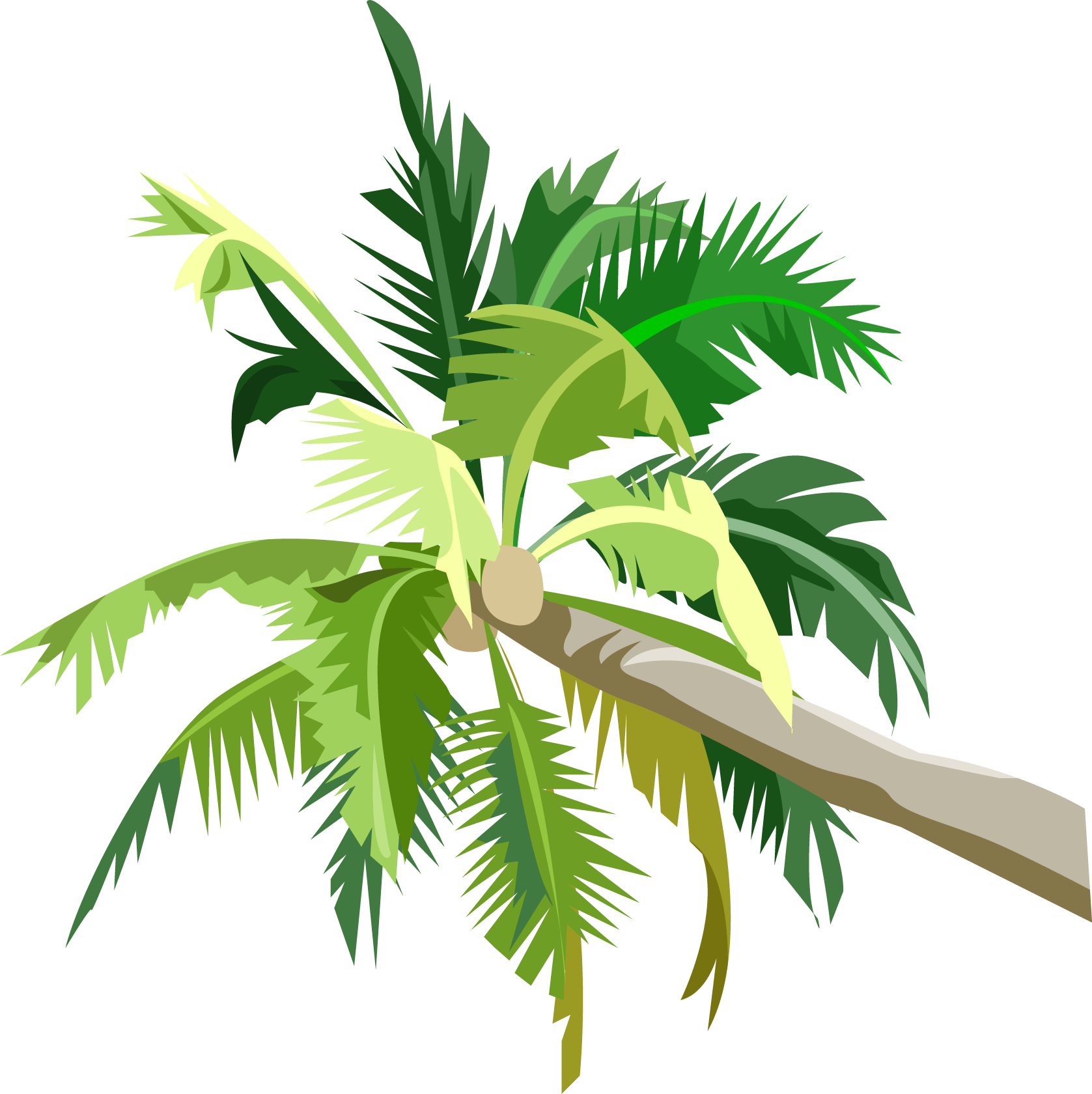 Пальмы Png Clipart (1677x1680), Png Download