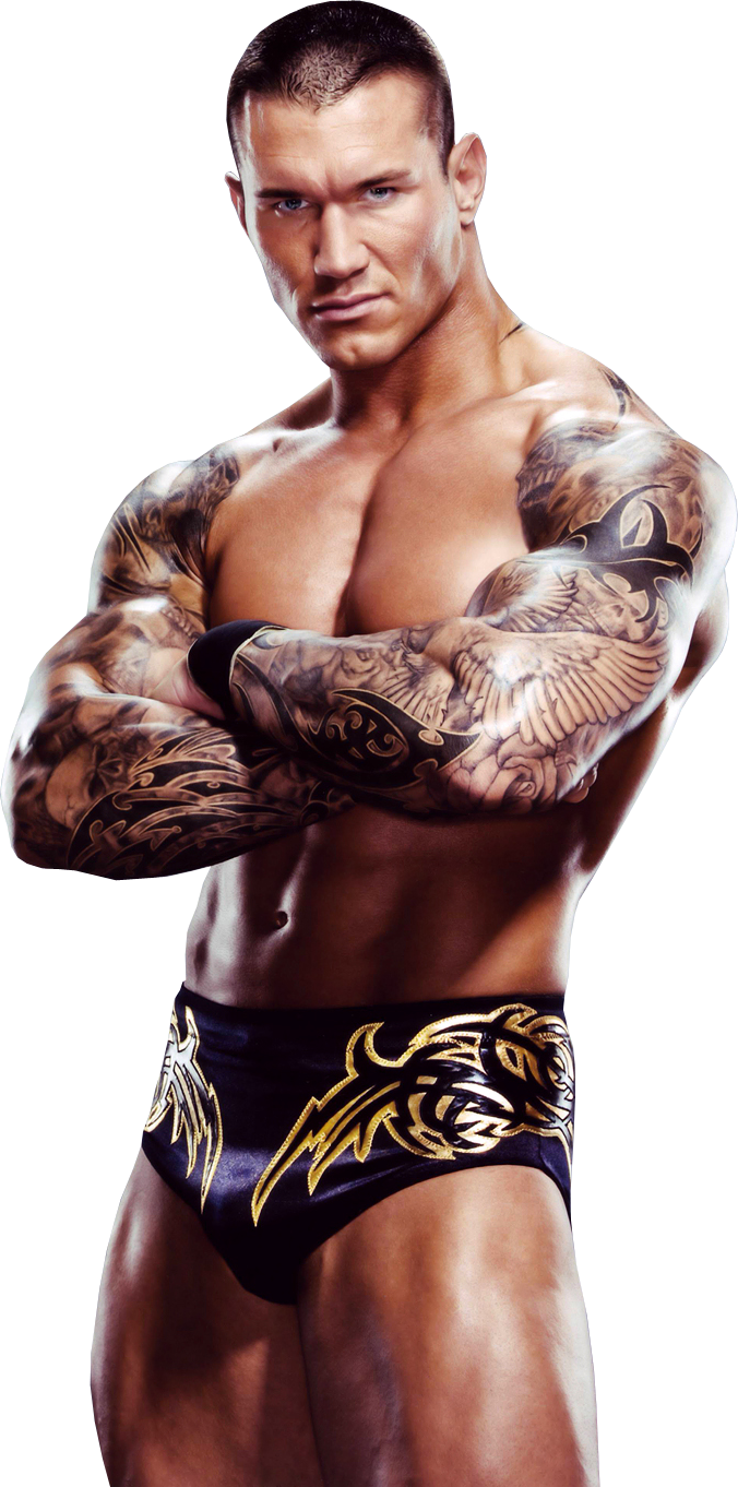 Randy Orton Rko Png - Randy Orton Pics In Hd Clipart (676x1362), Png Download