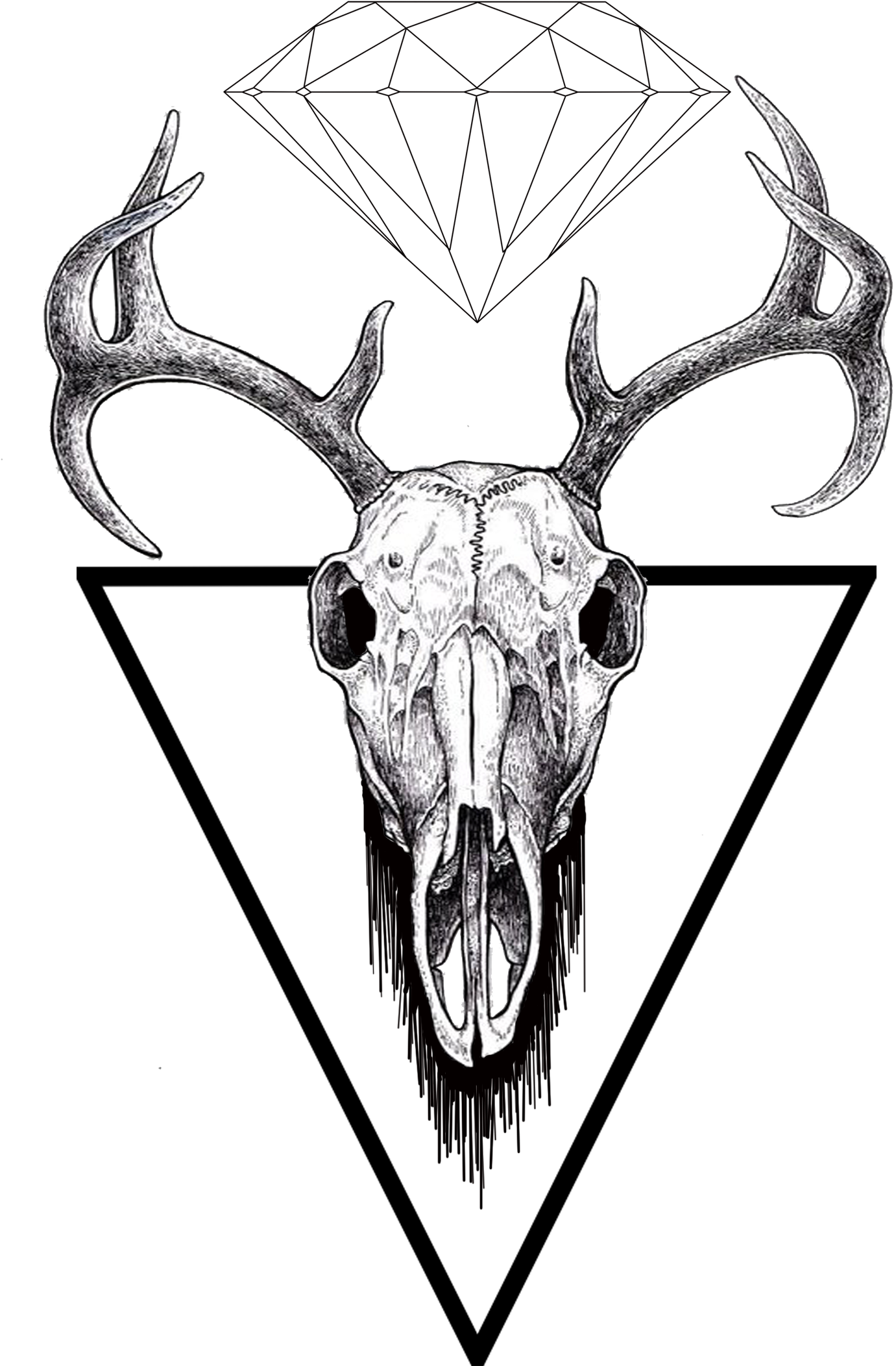 Find Us On Facebook - Drawn Reindeer Skull Clipart (1381x2104), Png Download