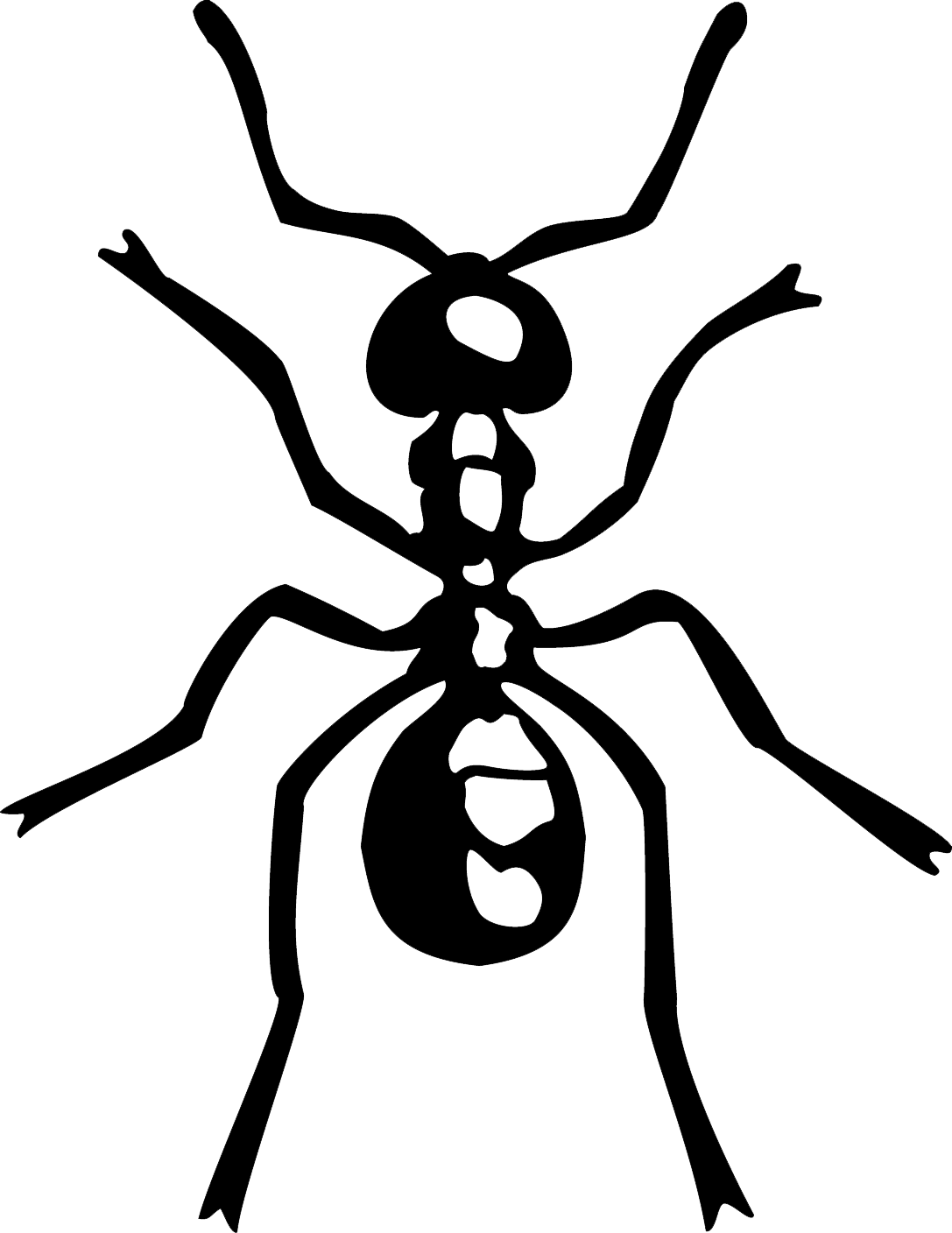 Transparent Ant Simple - Fire Ants Easy Drawing Clipart (1087x1408), Png Download