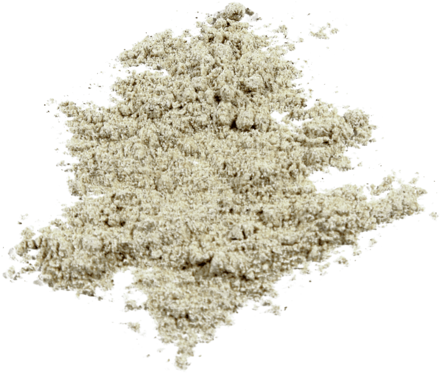 Equiflor, Llc , Png Download - Tree Clipart (881x746), Png Download