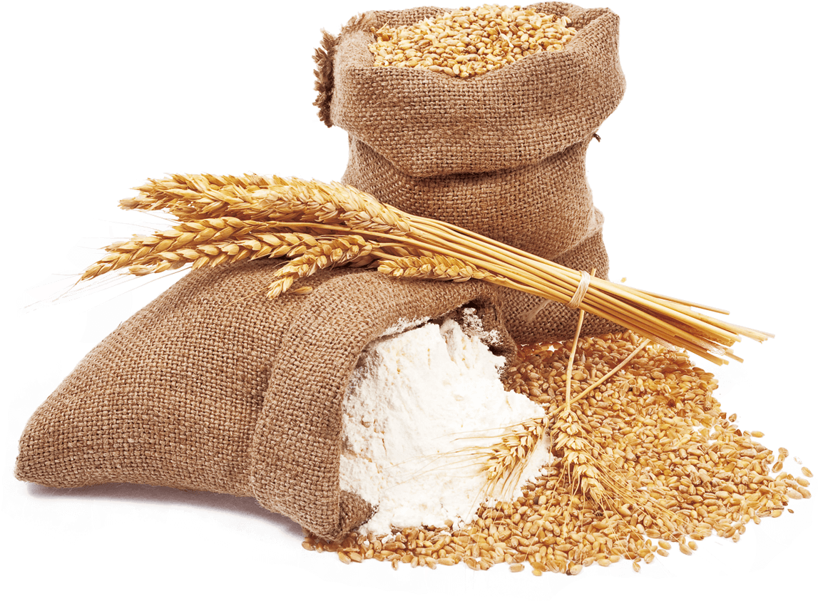 Wheat And Wheat Flour - Harina De Trigo Png Clipart (1200x1000), Png Download