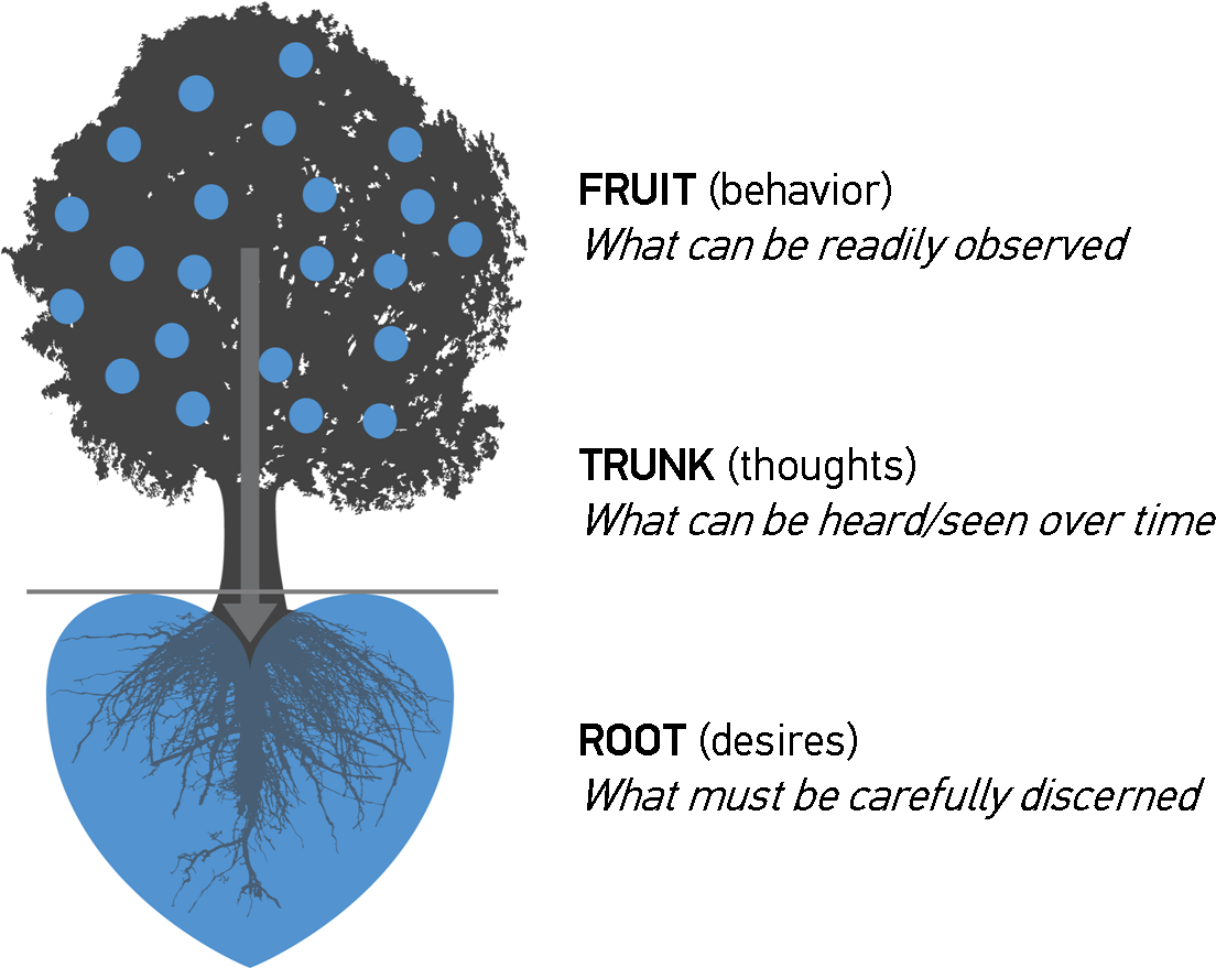 Harvest Tree Heart Diagram - Circle Clipart (1104x879), Png Download