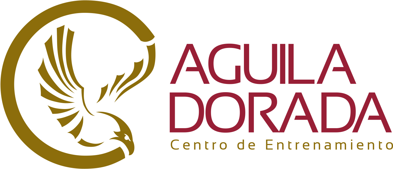 Logo Aguila Dorada Png , Png Download - Logo Aguila En Png Clipart (1376x592), Png Download