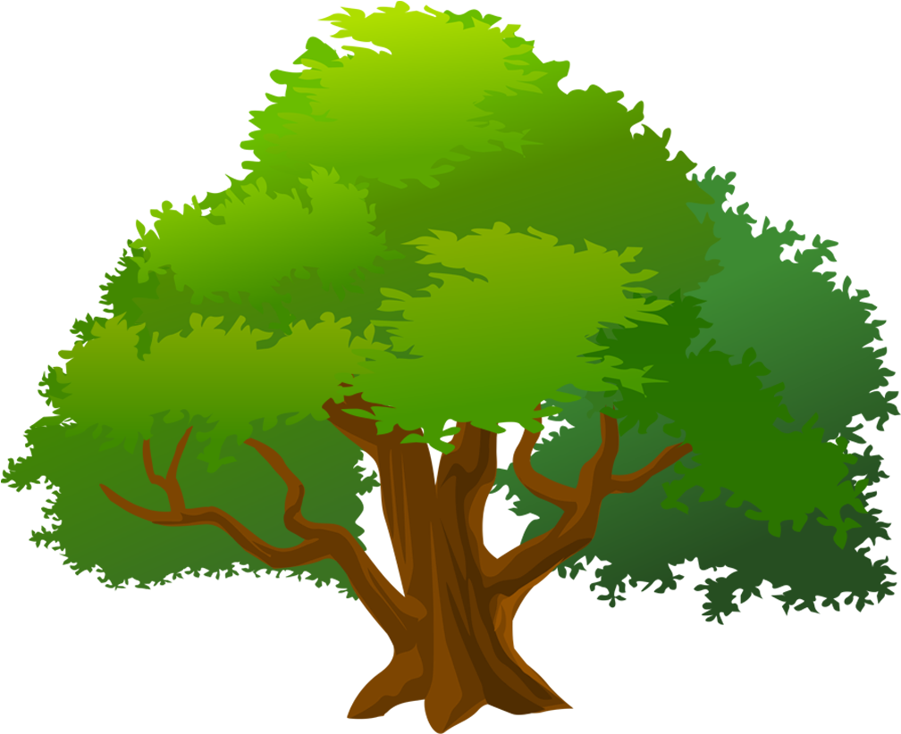 Mango Tree Clip Art , Png Download - Mango Tree Clip Art Transparent Png (1008x822), Png Download