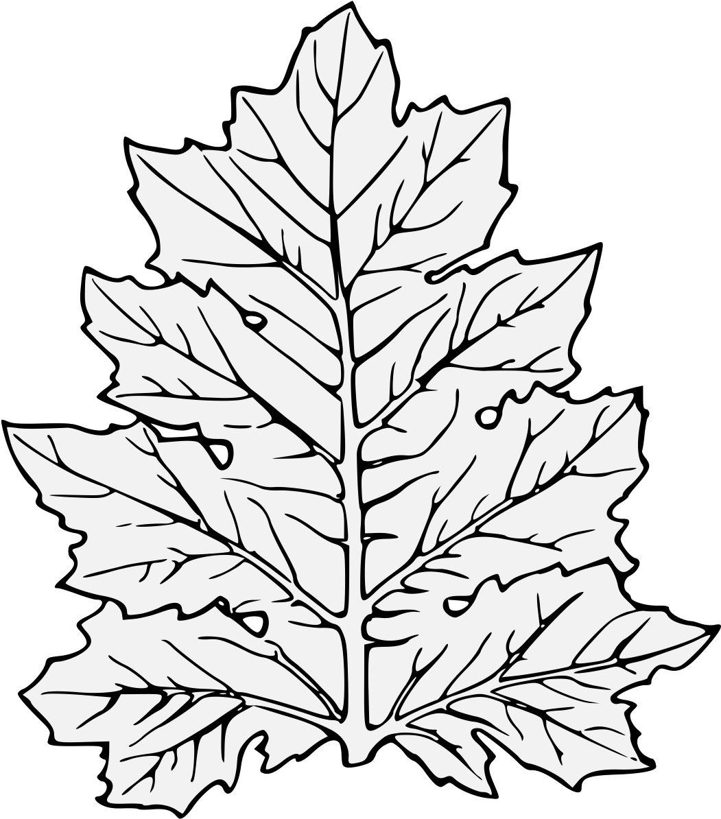 Acanthus Leaf - Leaf Clip Art - Png Download (1068x1223), Png Download