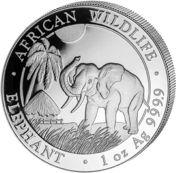 Somalia Elephant 1oz Silver Coin - Somalia Elephant 1 4 Oz 2017 Silver Clipart (594x600), Png Download