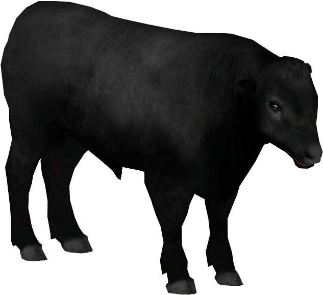 Aberdeen Angus Cattle - Cattle Clipart (632x632), Png Download