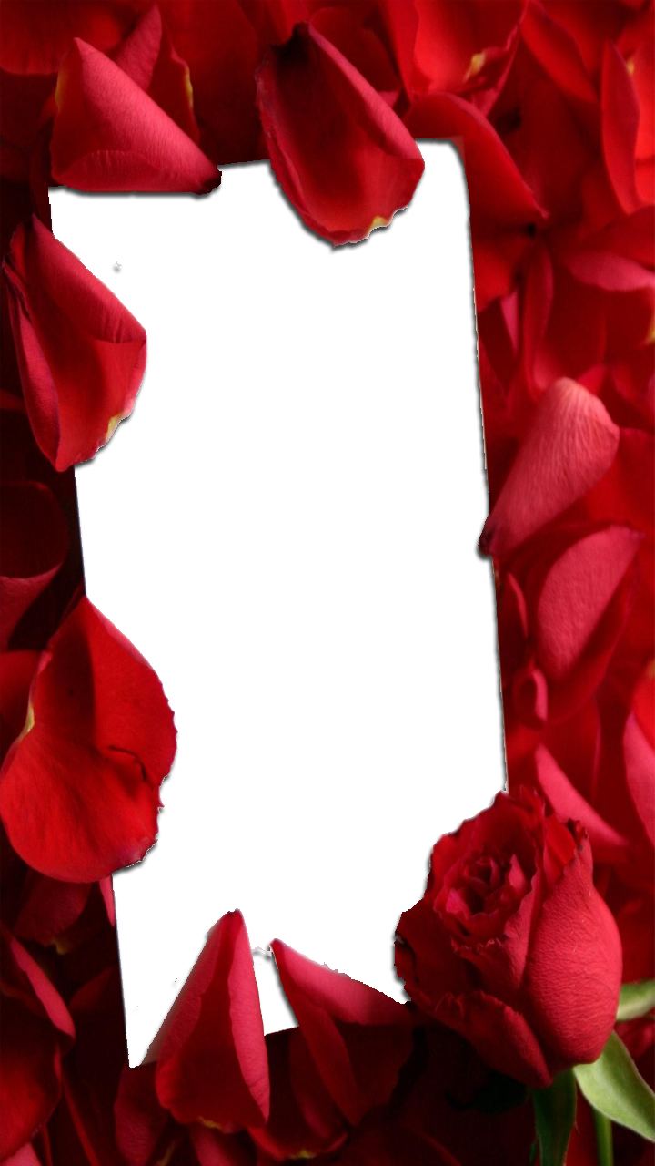 Love Frame With Red Roses - Special Love Clipart (720x1280), Png Download