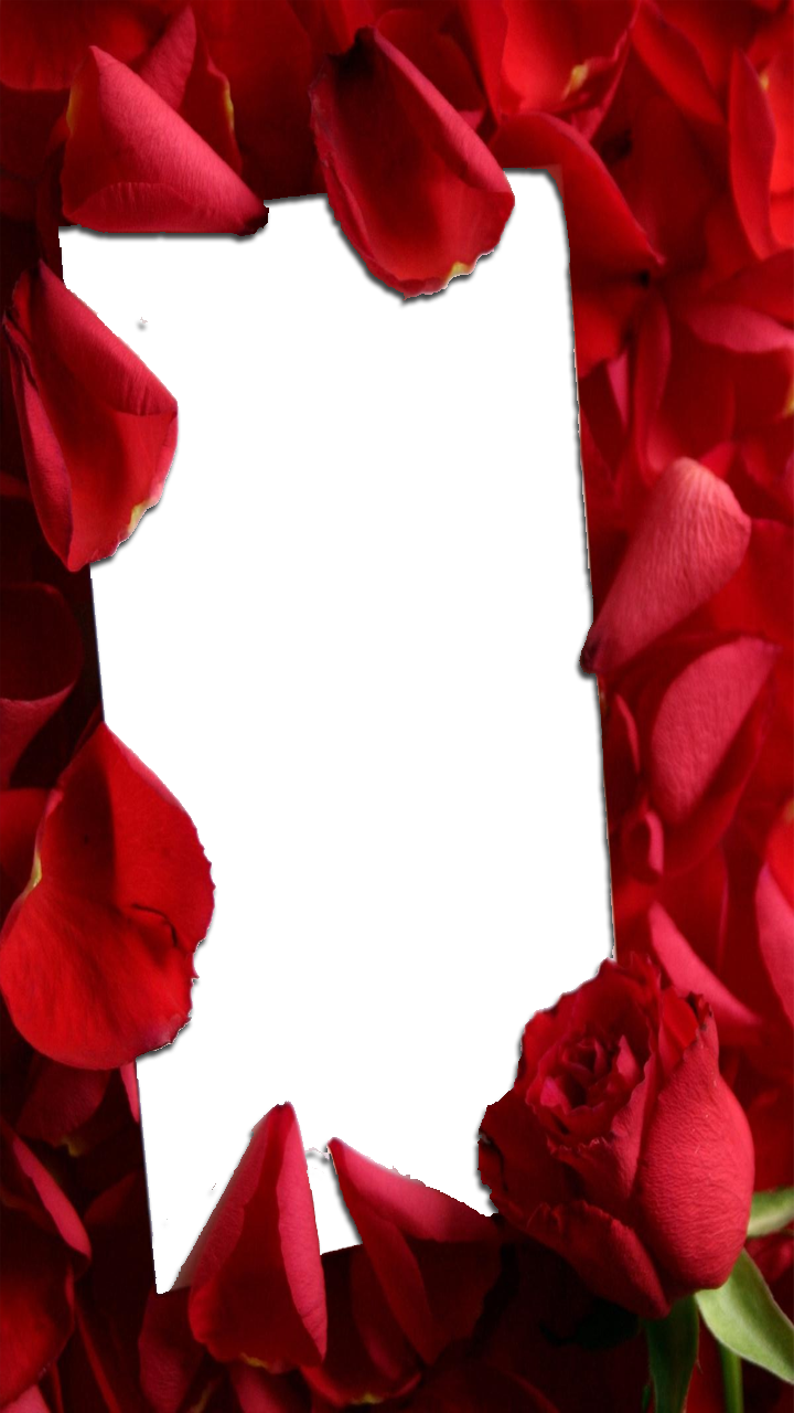 Love Frame With Red Roses Special Love Clipart Large Size Png Image Pikpng Love Frame With Red Roses Special Love Clipart Large Size Png Image Pikpng