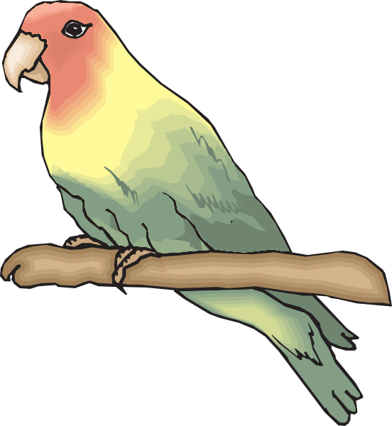 Peachfaced Lovebird Clip Art - Sketsa Gambar Burung Lovebird - Png Download (552x600), Png Download