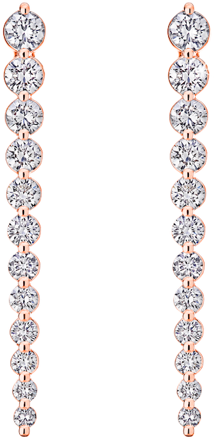 Earrings Png Transparent Background - Earrings Clipart (800x800), Png Download