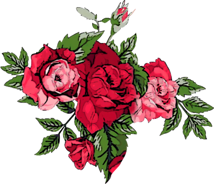Vector,flower,vector Art,flower Vector,vector Flower - Hybrid Tea Rose Clipart (696x600), Png Download